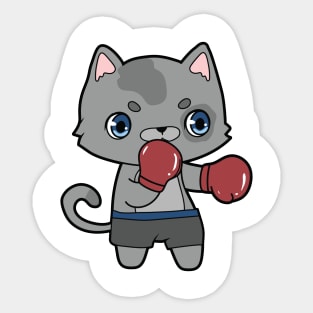 Cat at Boxing with Boxing gloves Sticker